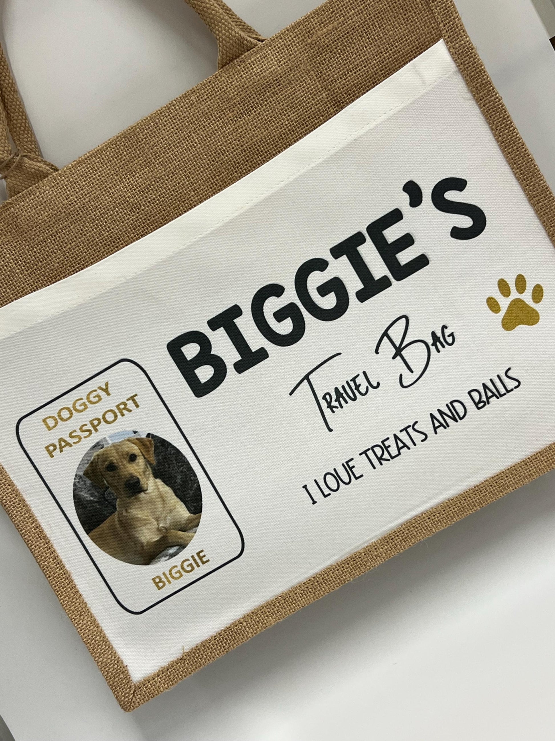 Personalised Dog Holiday Photo Travel Bag