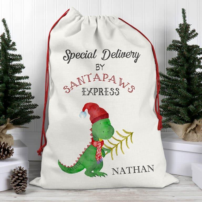 Large Luxury Dinosaur Christmas Sack