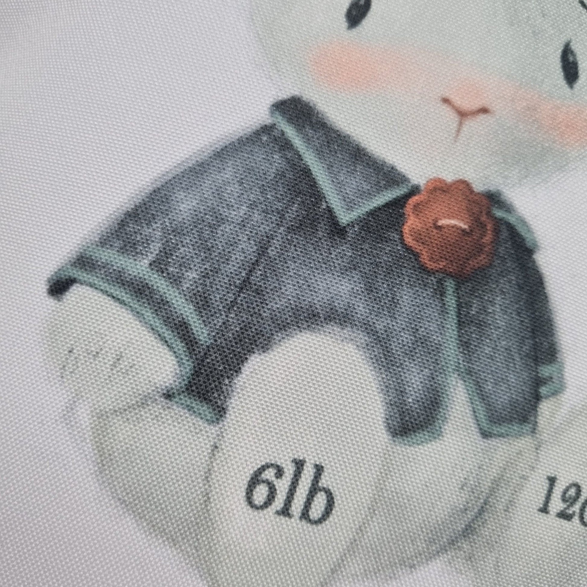 Personalised New Baby Bunny Rabbit Cushion