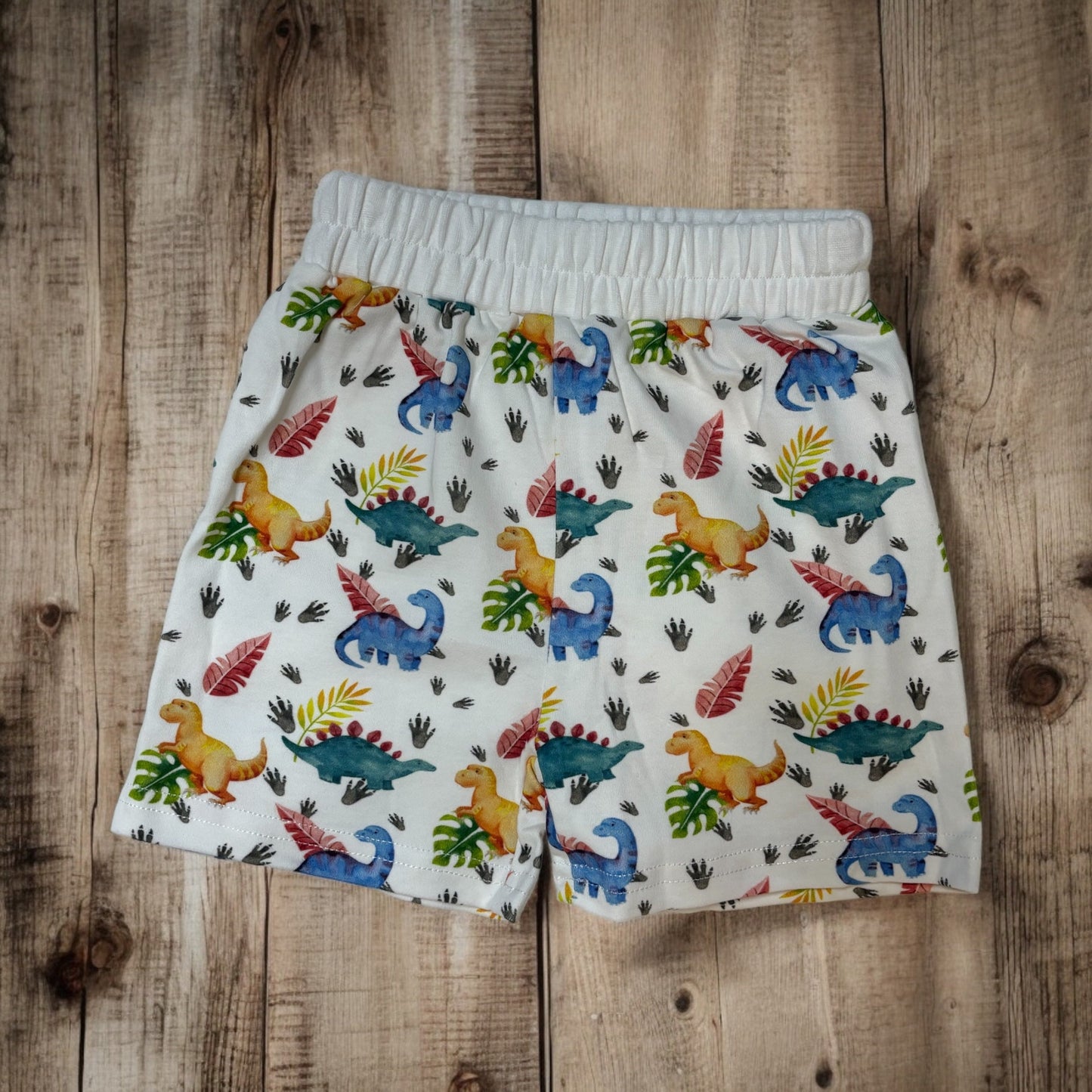 Dinosaur Outfit, Dinosaur T-shirt and Short set, Dinosaur Clothing, Boys Dino Clothing, Age 1-2 Years