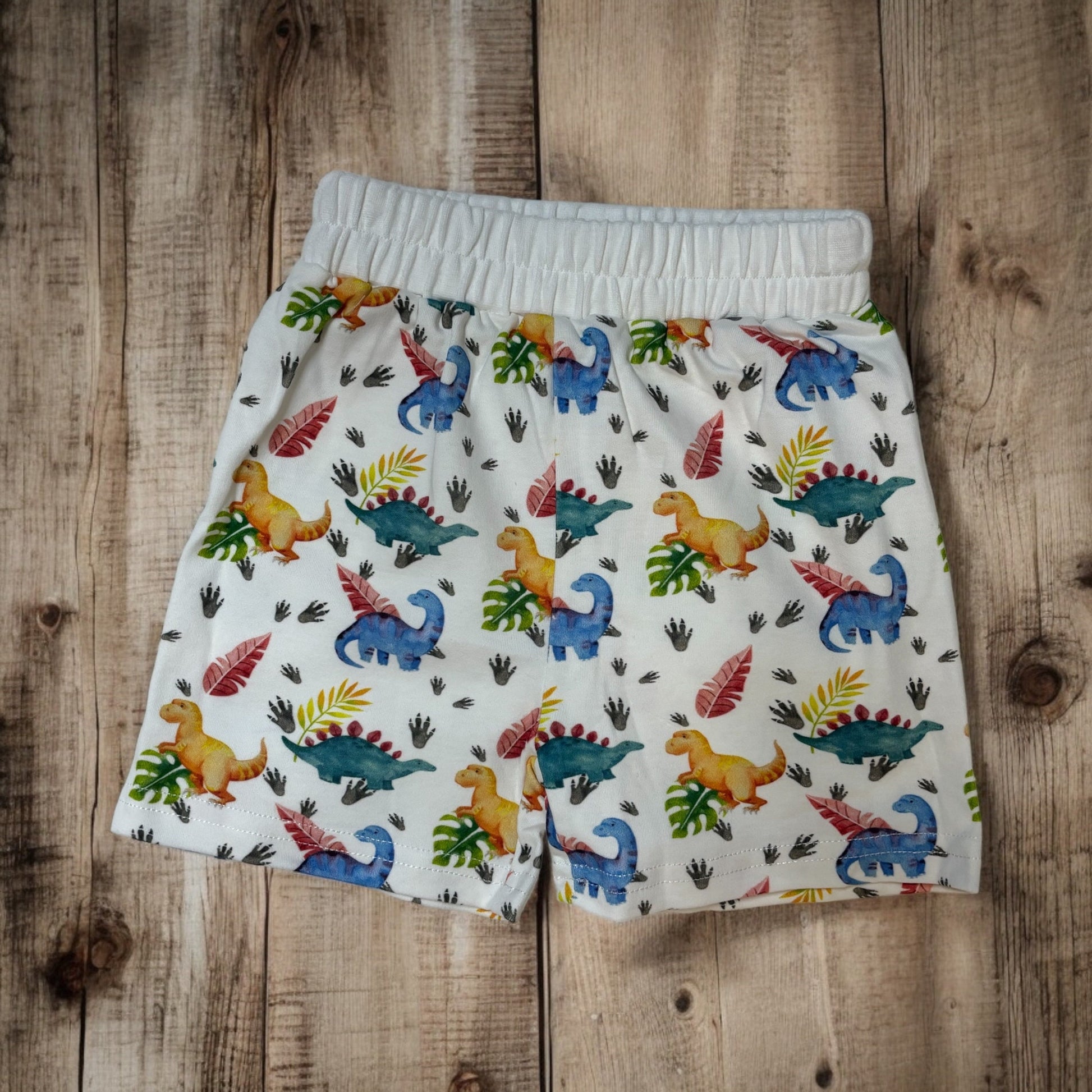 Dinosaur T-shirt and Short Set