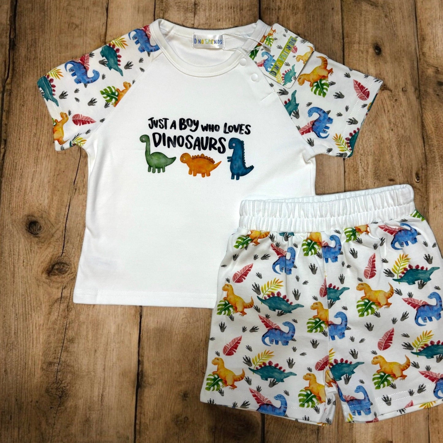 Dinosaur Outfit, Dinosaur T-shirt and Short set, Dinosaur Clothing, Boys Dino Clothing, Age 1-2 Years