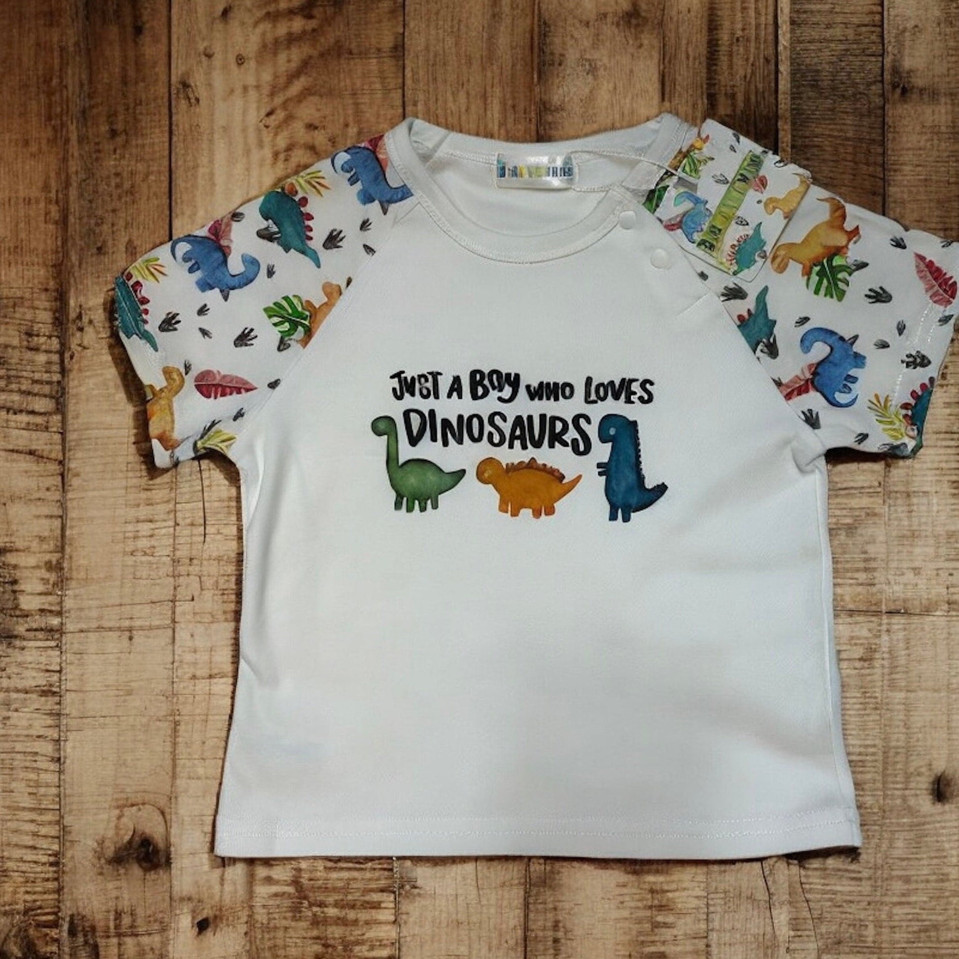 Dinosaur T-shirt and Short Set