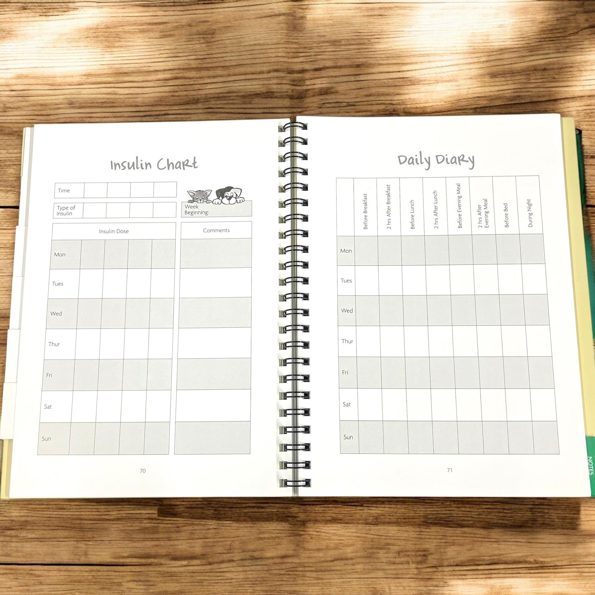 Child's Diabetic Diary