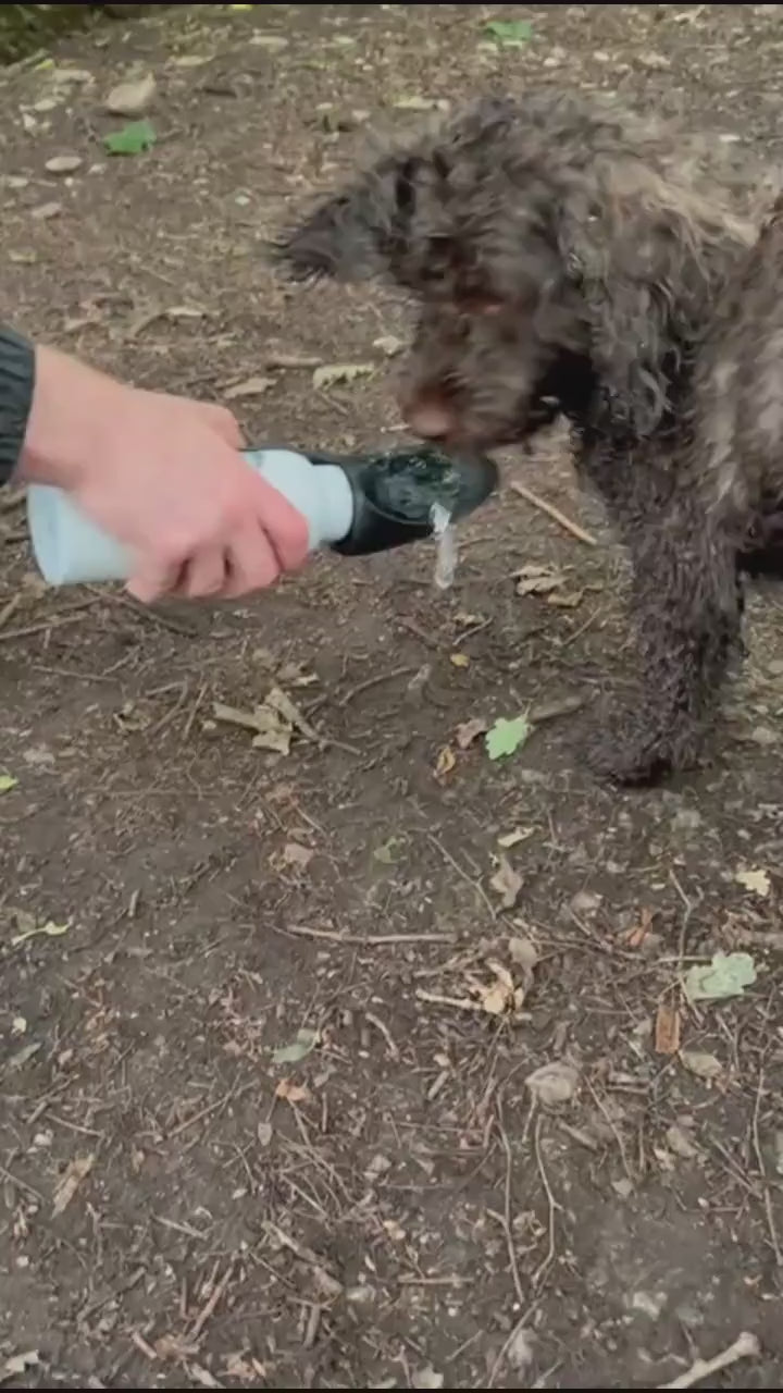 Personalised Pet Dog Water Bottle